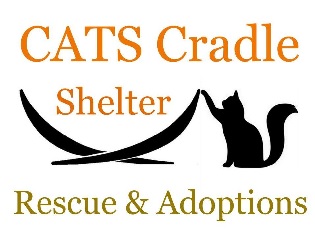 Cats Cradle Shelter