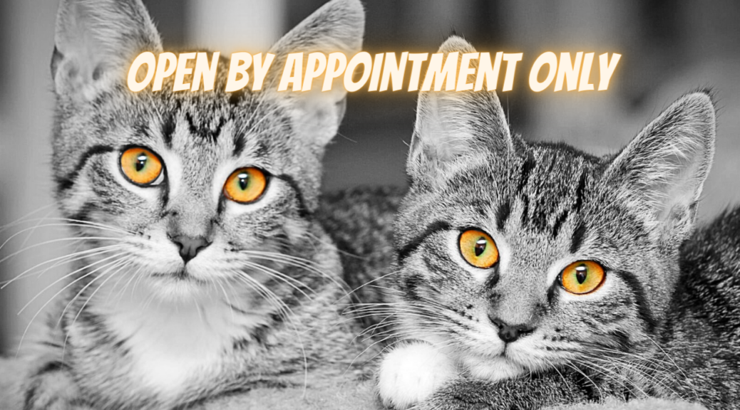 Open By Appointment Only