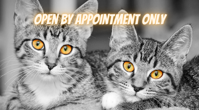 appointments only